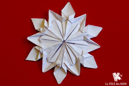 Flocon Origami