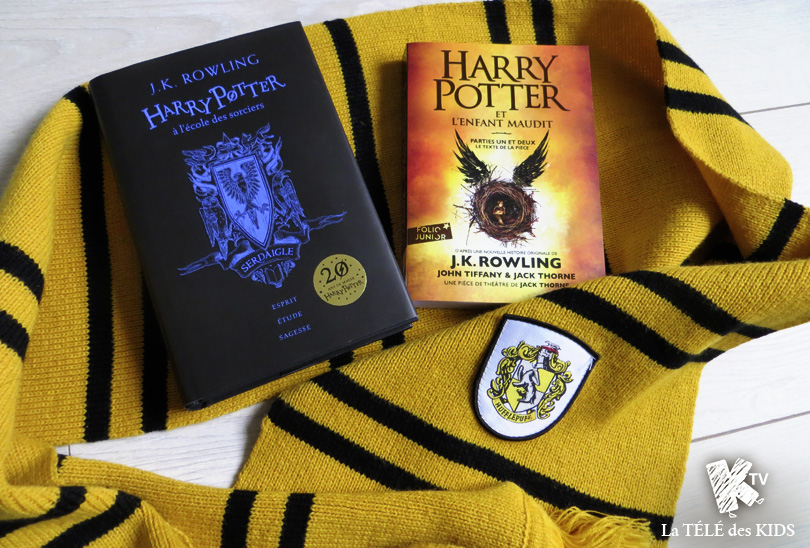 Livre Harry Potter à l'Ecole des Sorciers Poufsouffle Collector