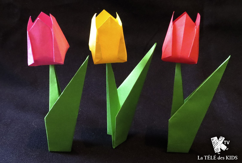 Origami Fleur Facile Tulipe en papier La TÉLÉ des KIDS